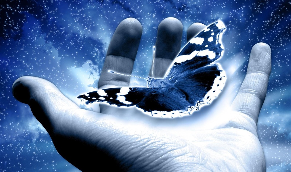 holding-a-blue-butterfly-preview